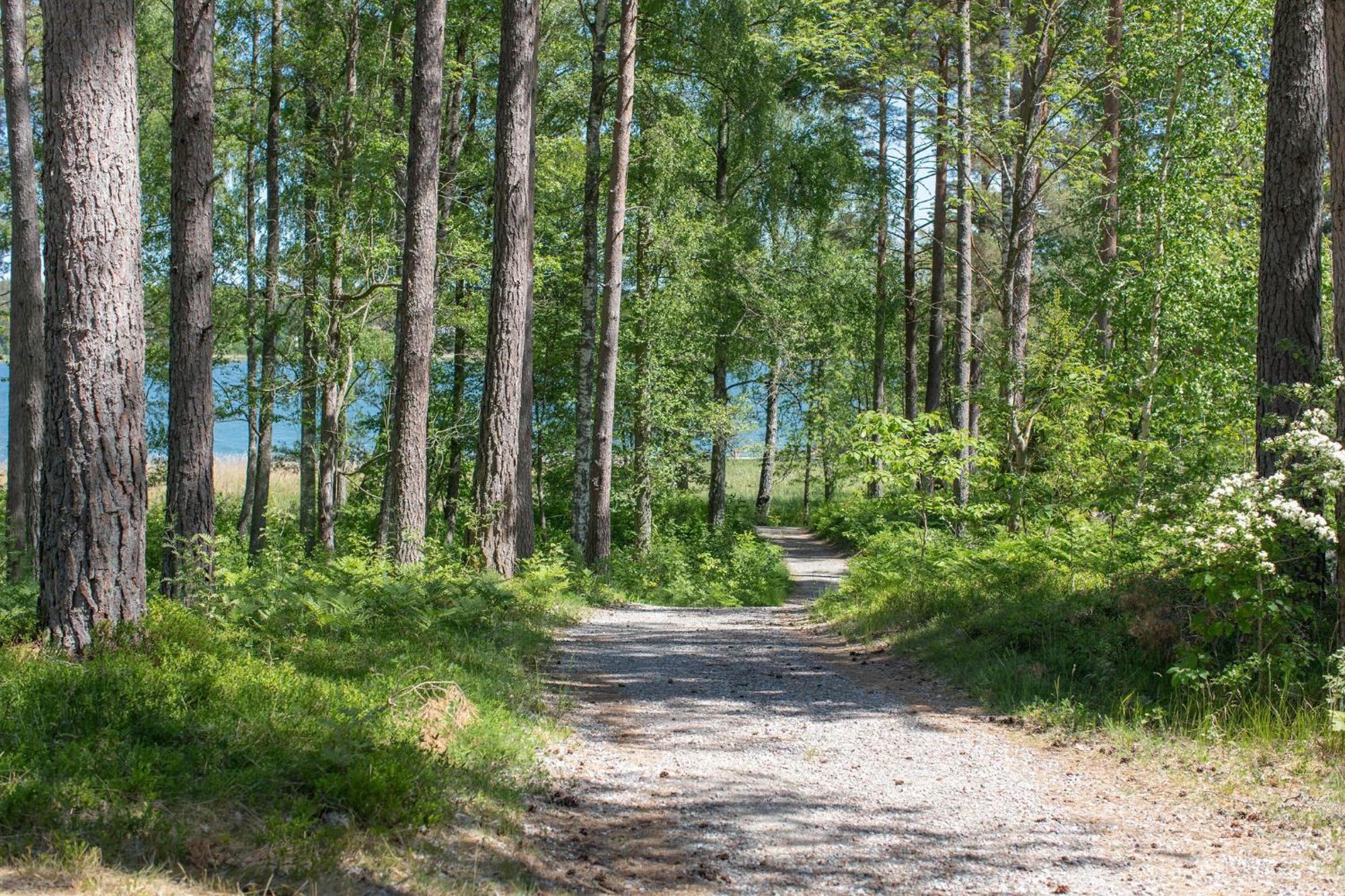 Bergs Gard & Hallsvikens Gard Västerljung Kültér fotó